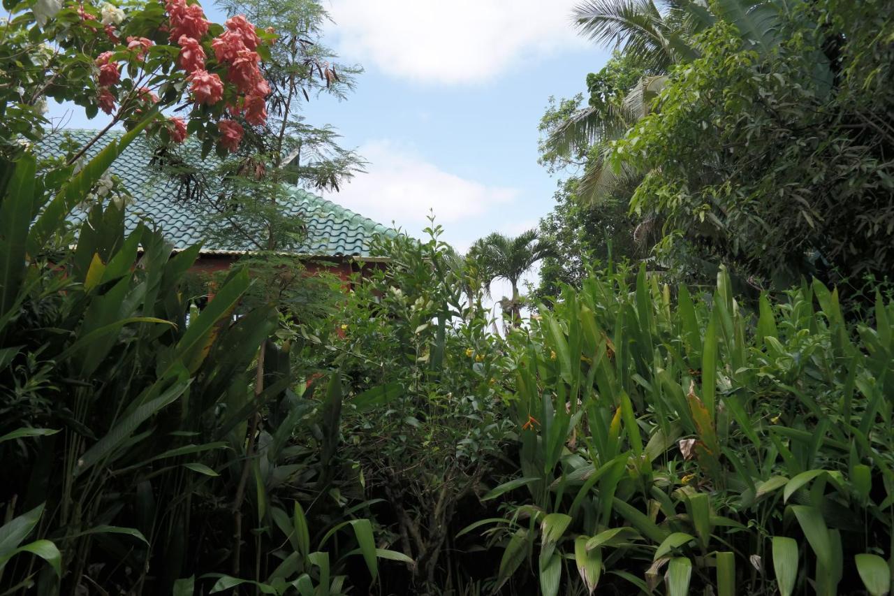 Muri Retreat Apartments Rarotonga Exterior foto